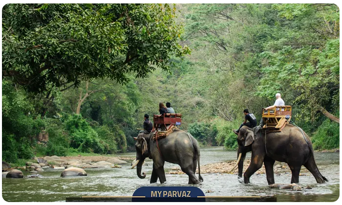 Elephant riding and jungle safari in Thailand